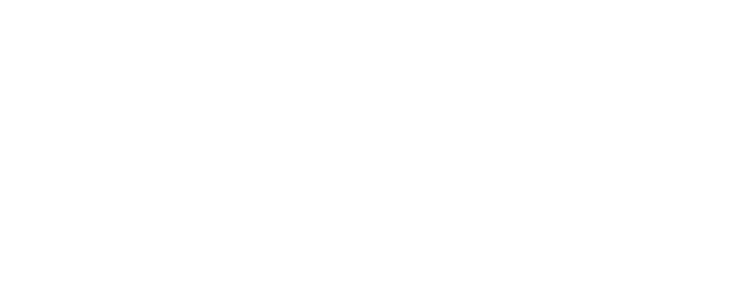 Aviation Pioneers Academy